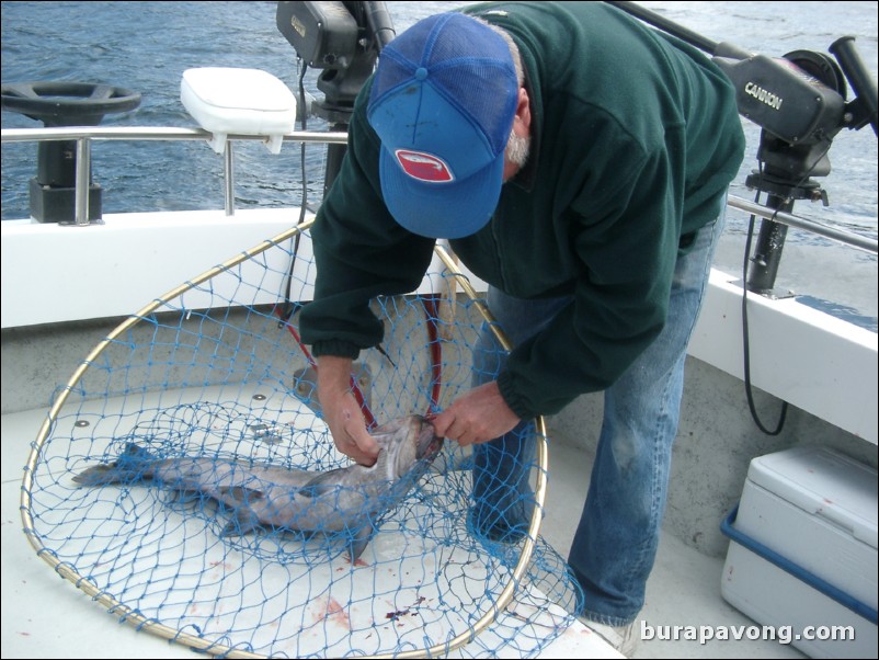 A 15 pound King Salmon I caught. Ketchikan.