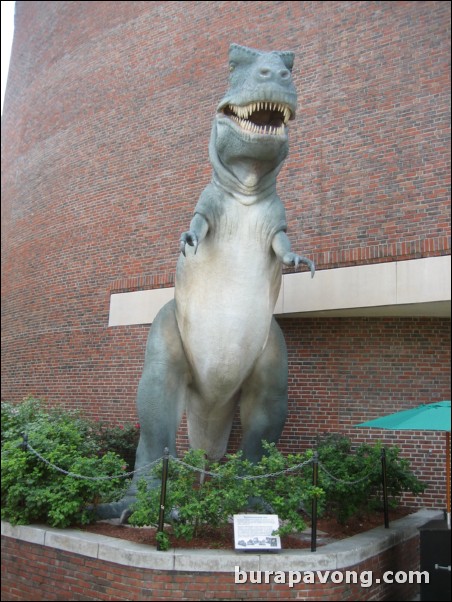 T-Rex outside Museum of Science. Boston Duck Tour.