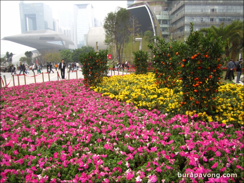 Guangzhou CBD (Central Business District).