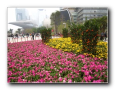 Guangzhou CBD (Central Business District).