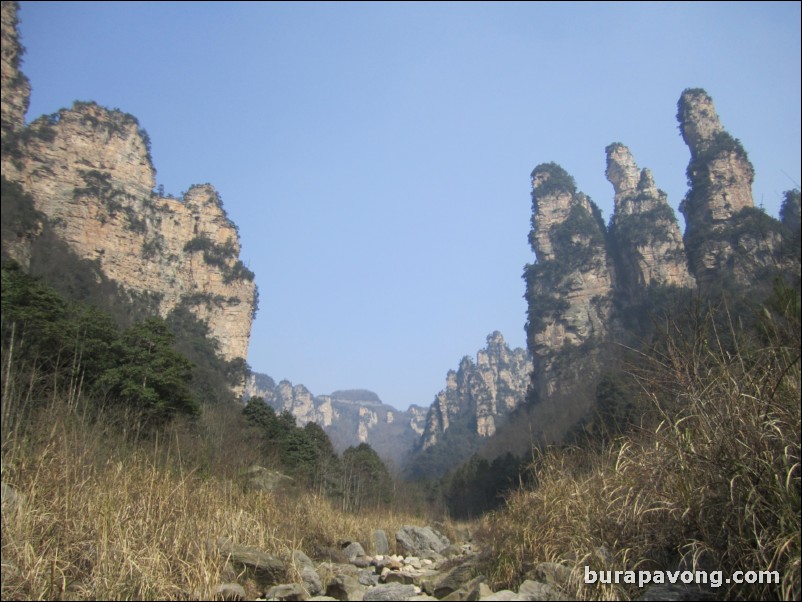 Wulingyuan scenic area. Three Sisters Peaks.