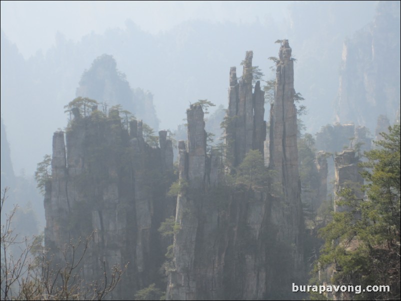 Wulingyuan scenic area.