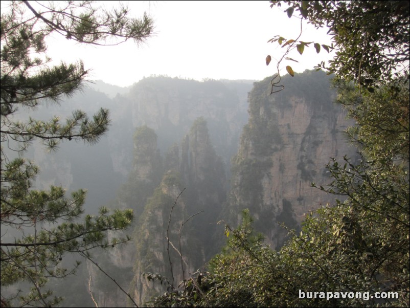 Wulingyuan scenic area.