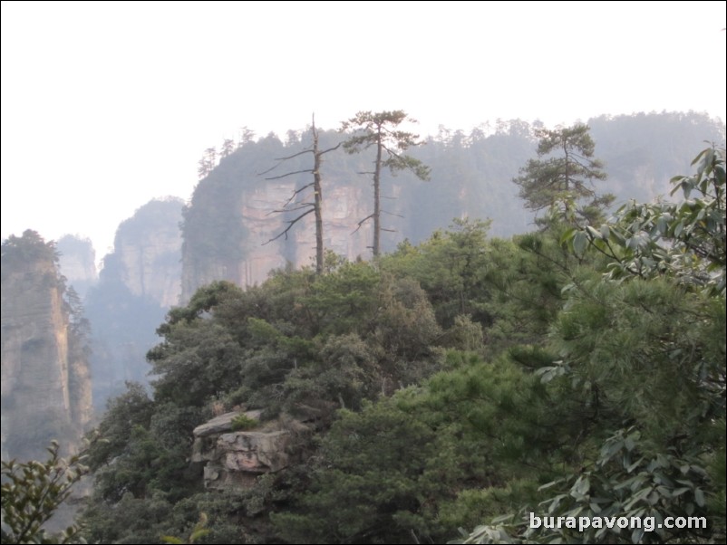 Wulingyuan scenic area.