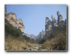 Wulingyuan scenic area. Three Sisters Peaks.