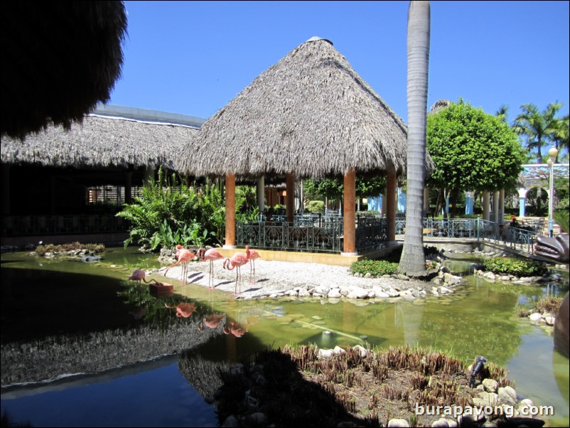 Iberostar Costa Dorada.