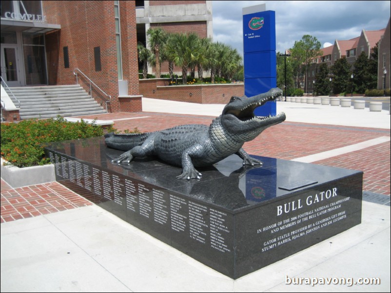 Bull Gator.