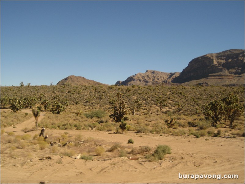 Heading towards Grand Canyon West Rim.