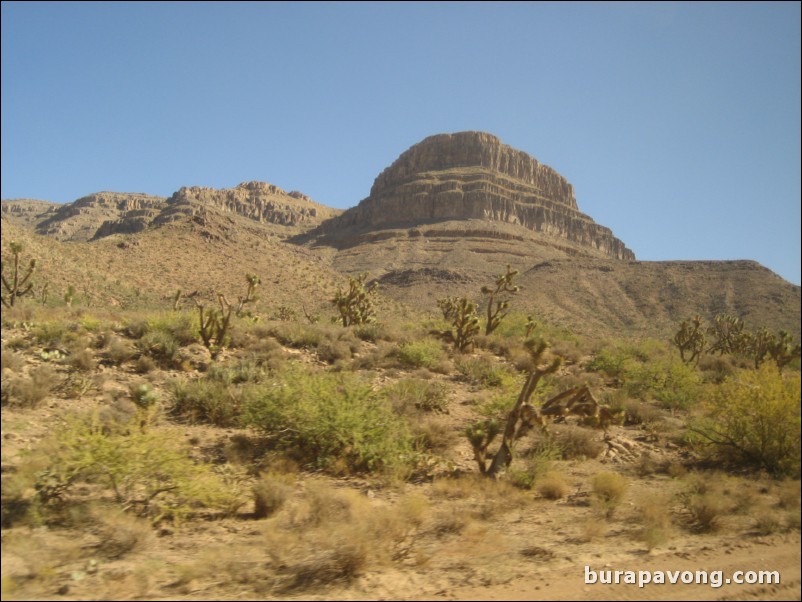 Heading towards Grand Canyon West Rim.