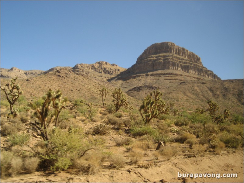 Heading towards Grand Canyon West Rim.