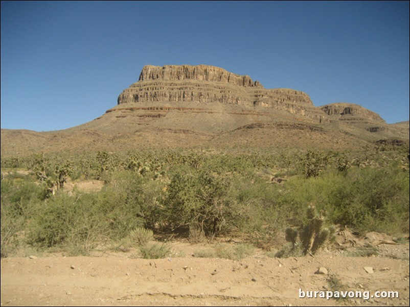 Heading towards Grand Canyon West Rim.