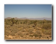 [Click to enlarge image]