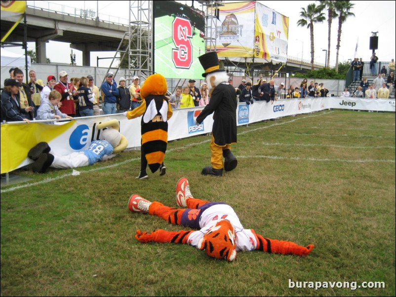 ACC mascots game.