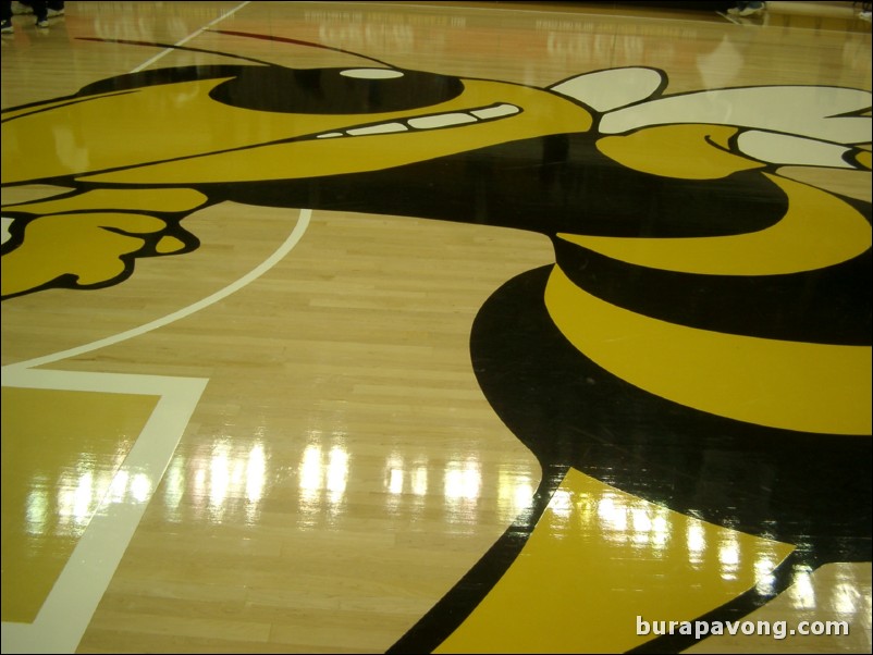 Really up-close view of Buzz at center court.