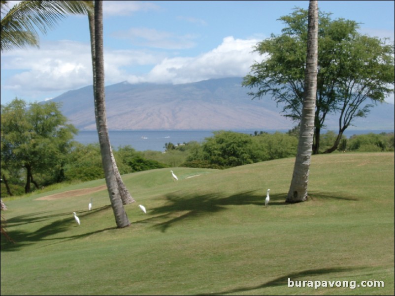 Wailea Golf Club - Gold Course.