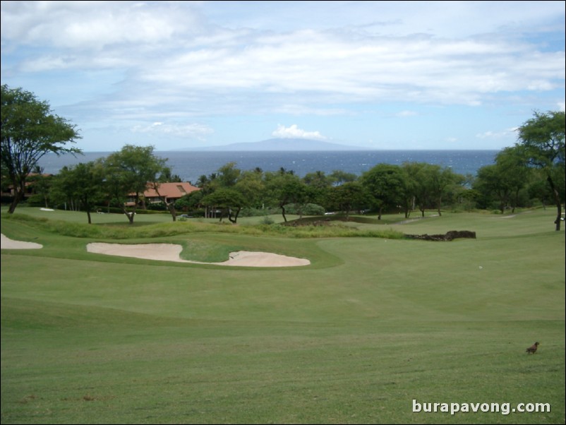 Wailea Golf Club - Gold Course.