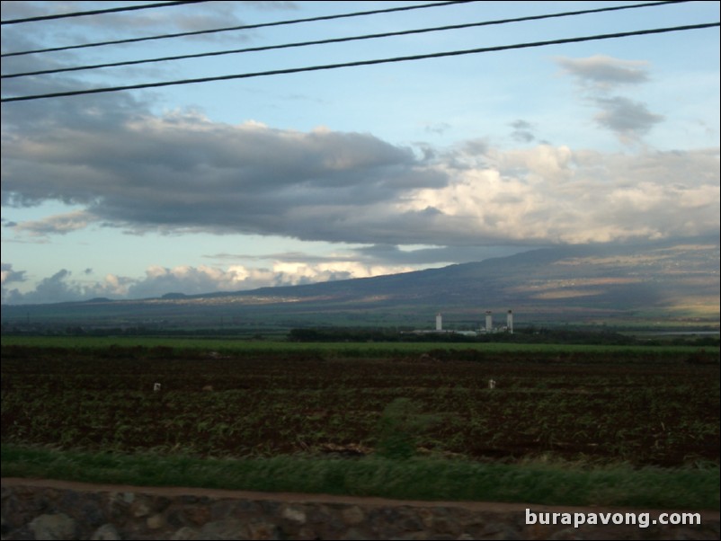 Fields in central Maui.