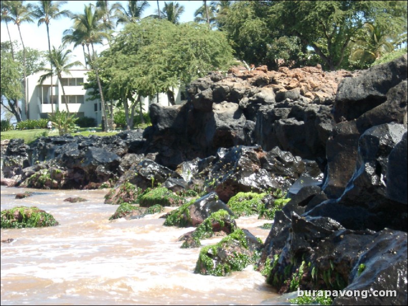 Wailea Beach.