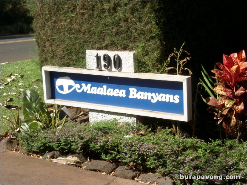 Maalaea Banyans.