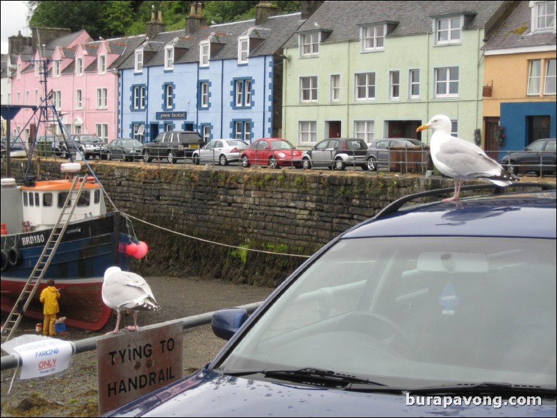 Portree harbour.