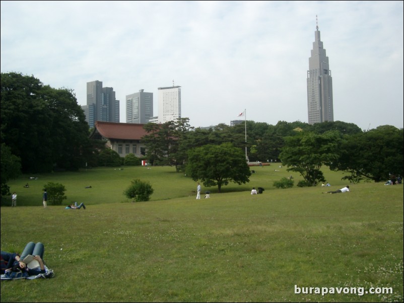Yoyogi-koen (Yoyogi Park).