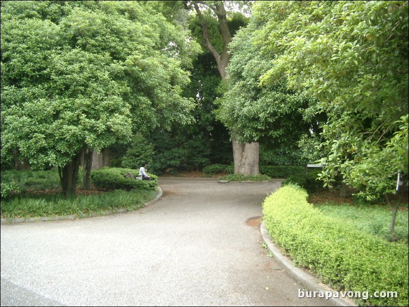 Higashi-gyoen (Imperial Palace East Garden).