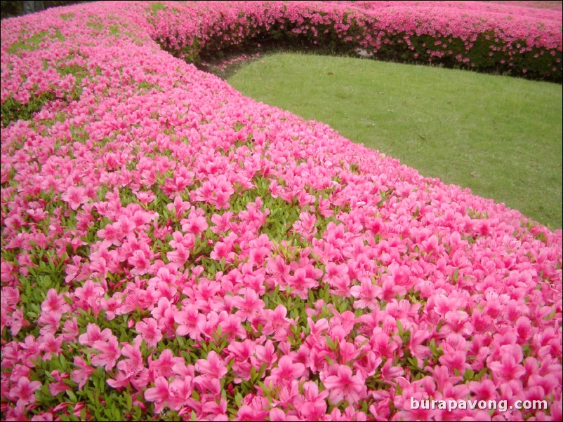 Higashi-gyoen (Imperial Palace East Garden).
