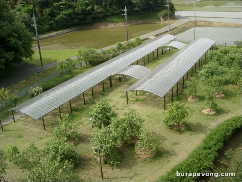 View from hotel (International Garden).