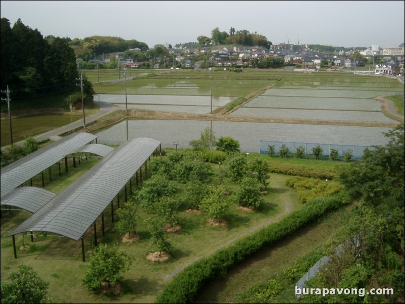 View from hotel (International Garden).