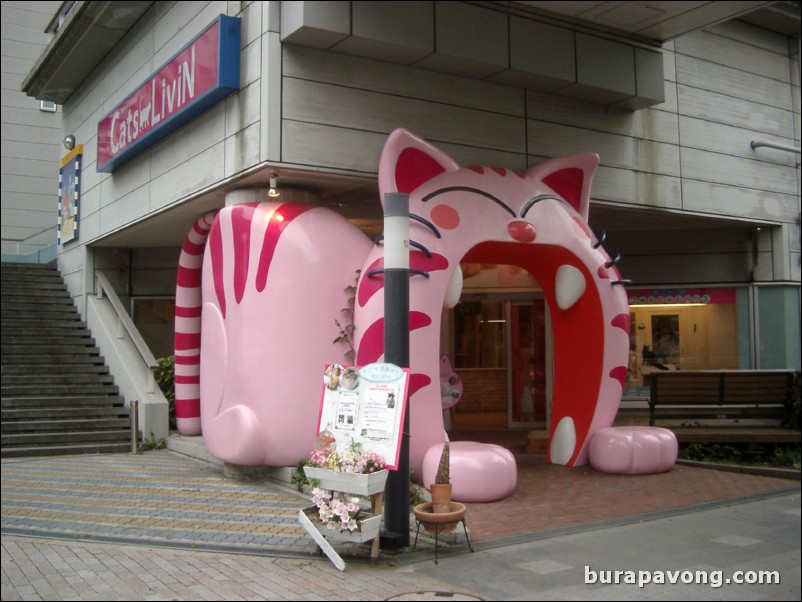 Cats Livin cat store, Odaiba.