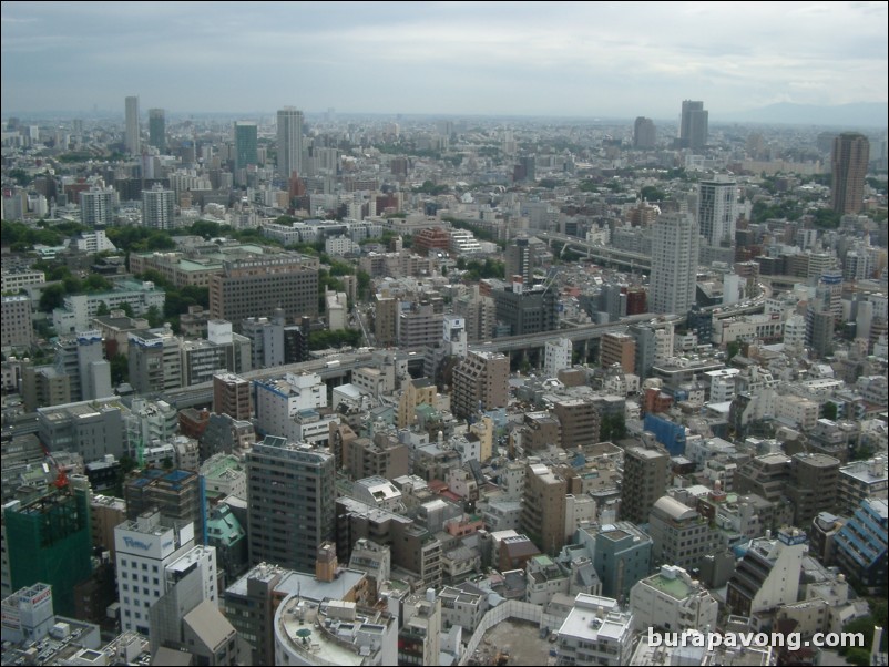 View of Tokyo skyline from Tokyo Tower.