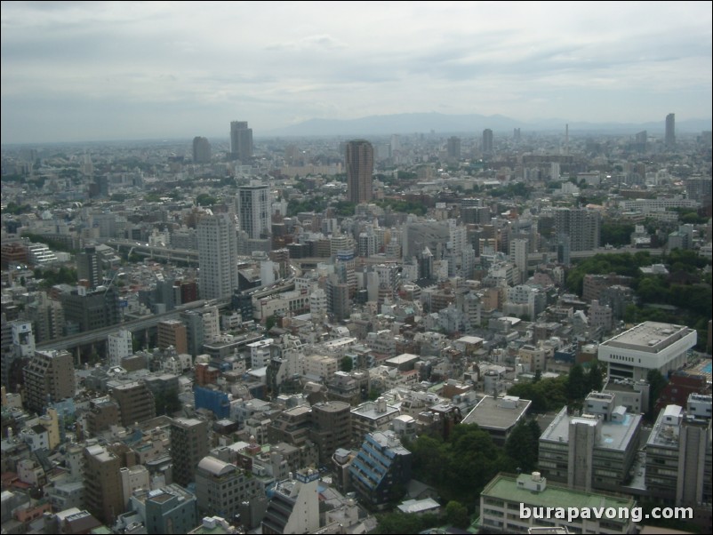 View of Tokyo skyline from Tokyo Tower.