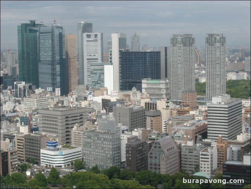 View of Tokyo skyline from Tokyo Tower.