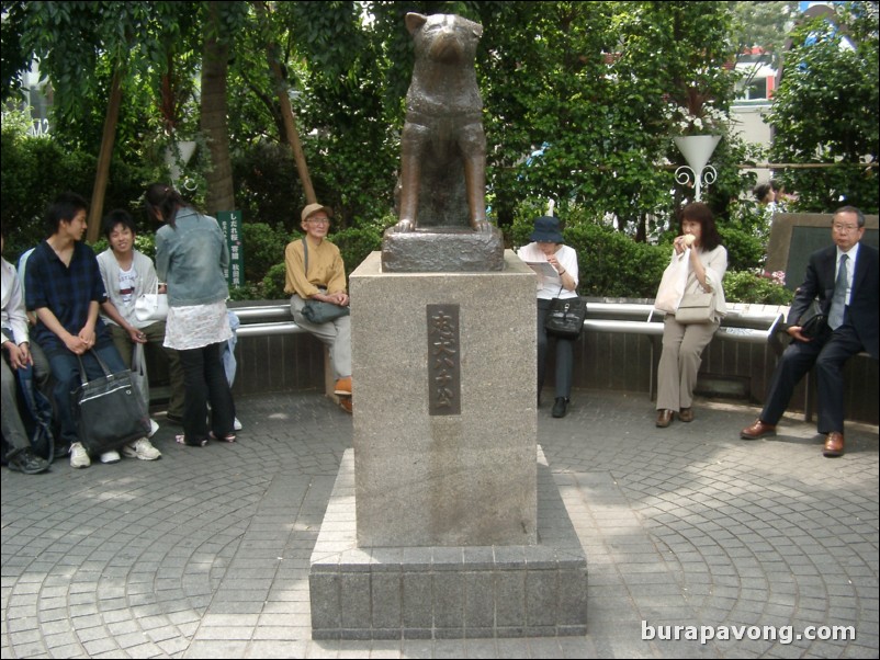 Hachiko the Dog.