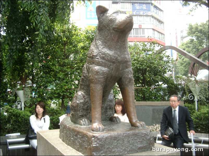 Hachiko the Dog.