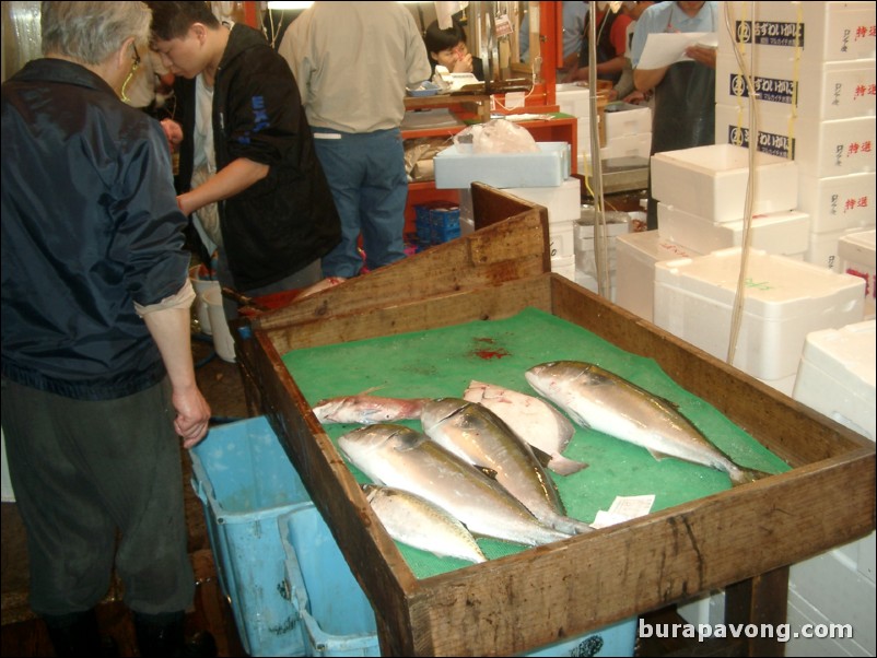 Tsukiji Fish Market.