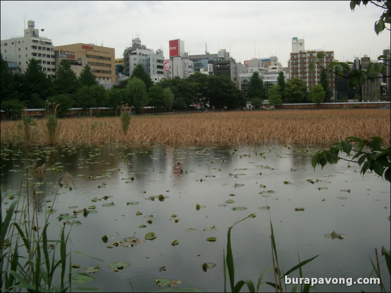 Ueno-koen (Ueno Park).