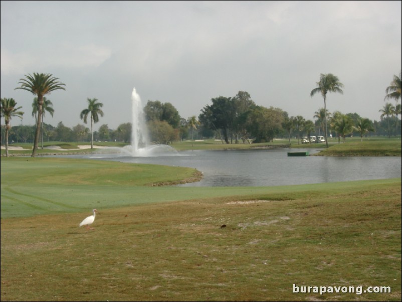 Doral Golf Resort & Spa - The Blue Monster.