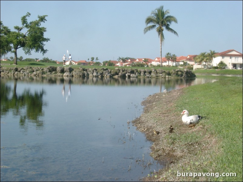 Doral Golf Resort and Spa - Silver Course.