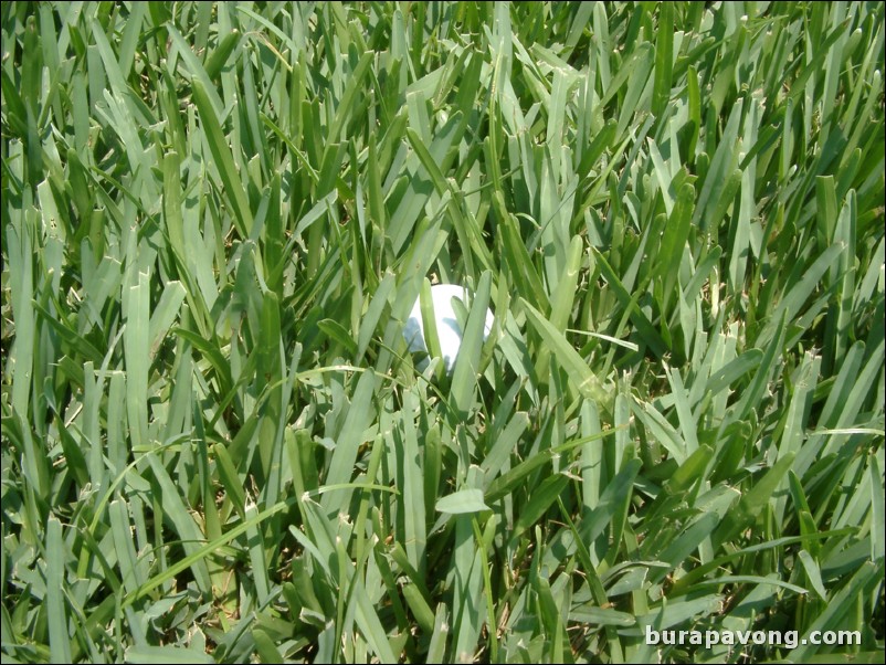 Doral Golf Resort and Spa - Silver Course.