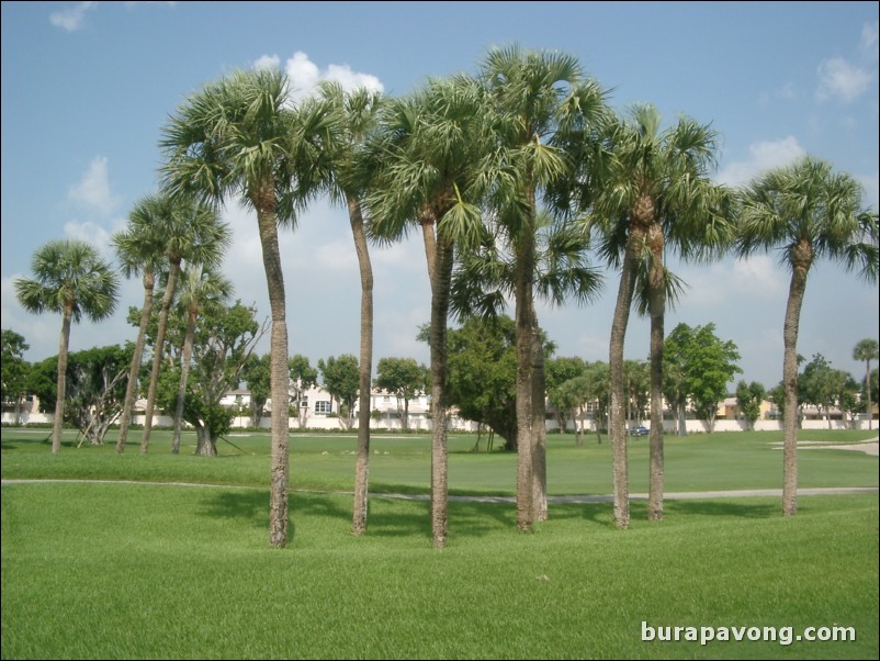 Doral Golf Resort and Spa - Red Course.