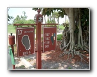 [Click to enlarge image]