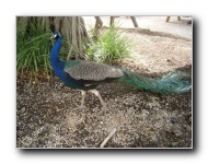 [Click to enlarge image]