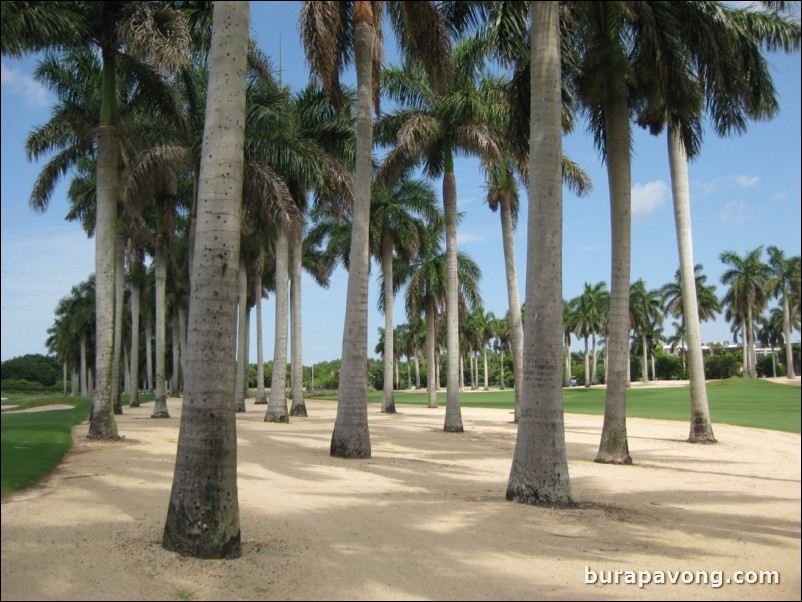 Great White Course at Doral.