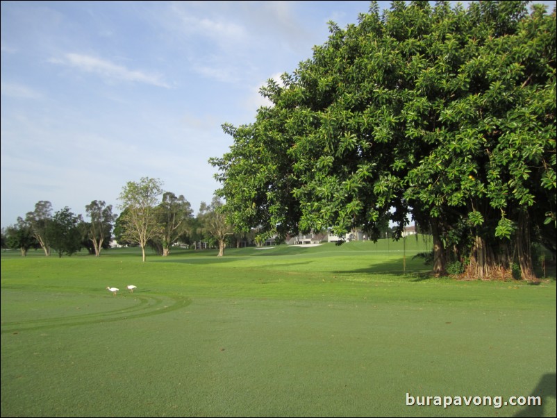 Round 2: TPC Blue Monster.