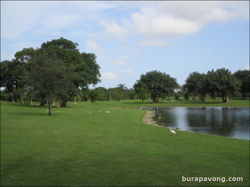 Round 2: TPC Blue Monster.