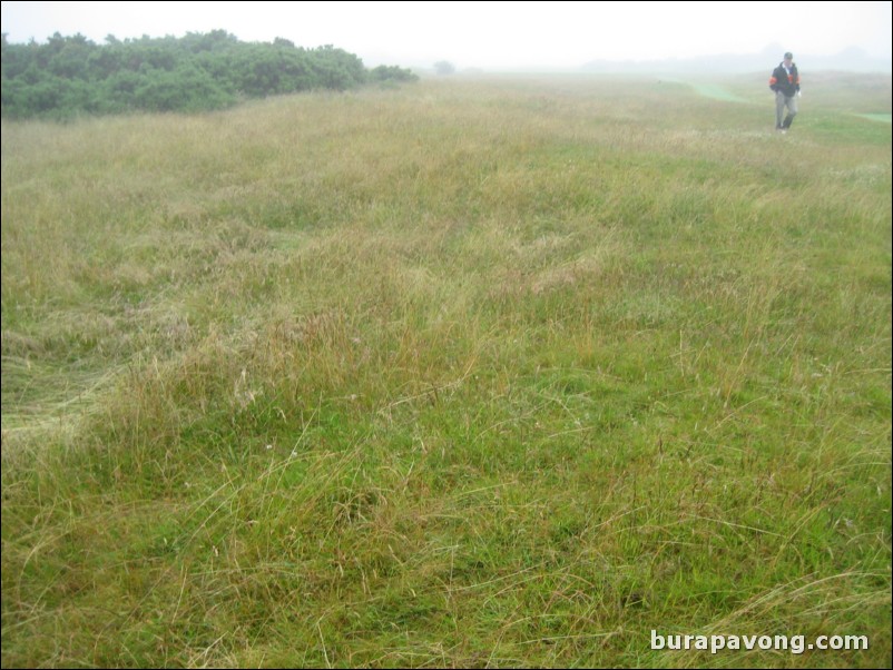 The rough is thick and easy to lose balls in.