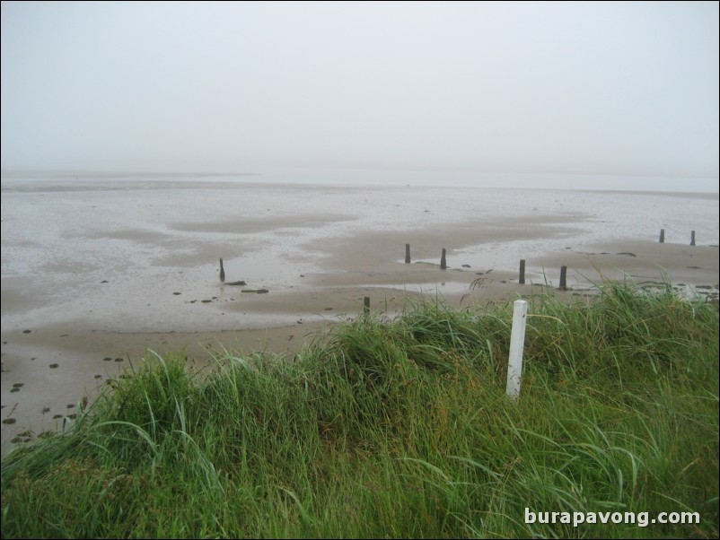 View of Eden Estuary from Hole No. 9.