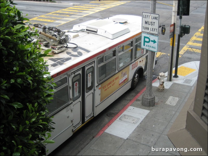 Marina District, San Francisco.