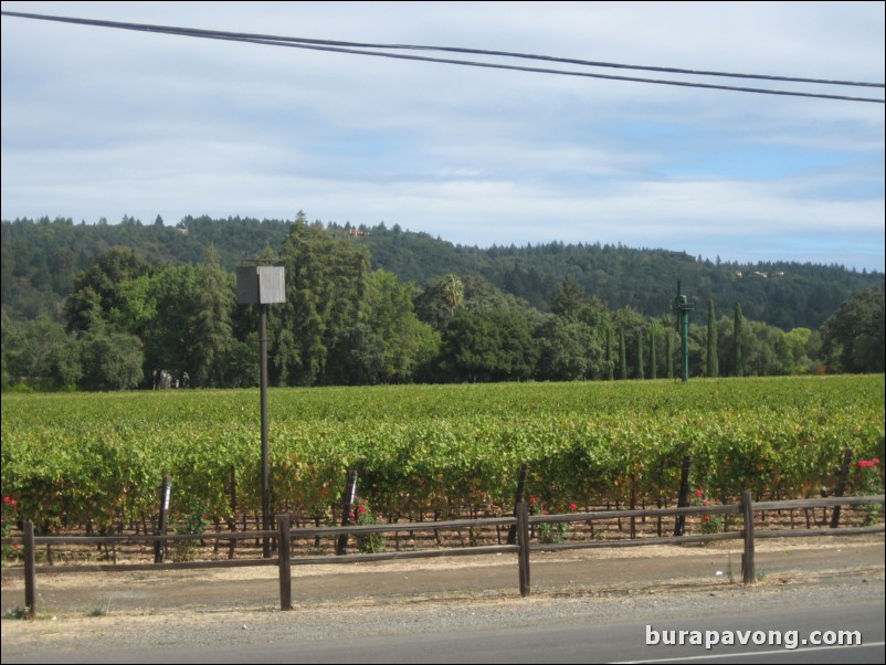 Culinary Institute of America at Greystone, St. Helena.